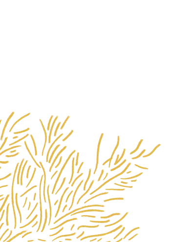 background pattern